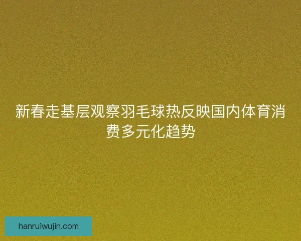 新春走基层观察羽毛球热反映国内体育消费多元化趋势 新春走基层观察羽毛球热反映国内体育消费多元化趋势